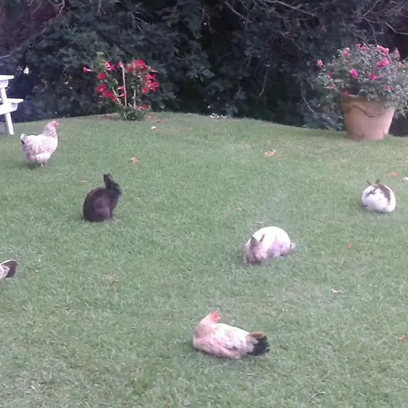 La Croix Basque 4* 西布勒