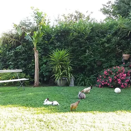 住宿加早餐酒店 La Croix Basque