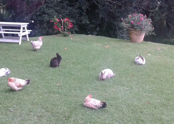 La Croix Basque 4* Ciboure